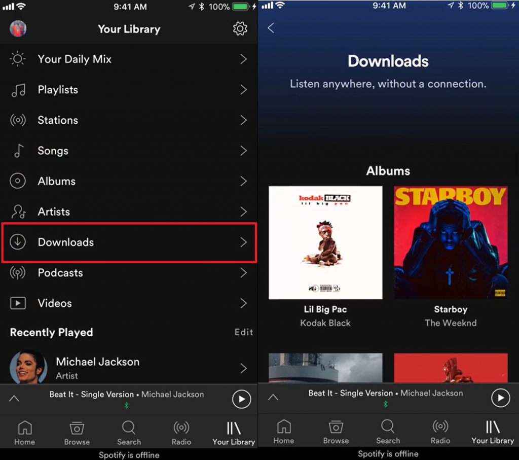 download songs from spotify for offline