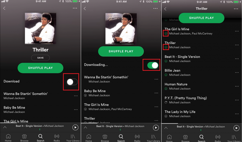 download songs from spotify for offline