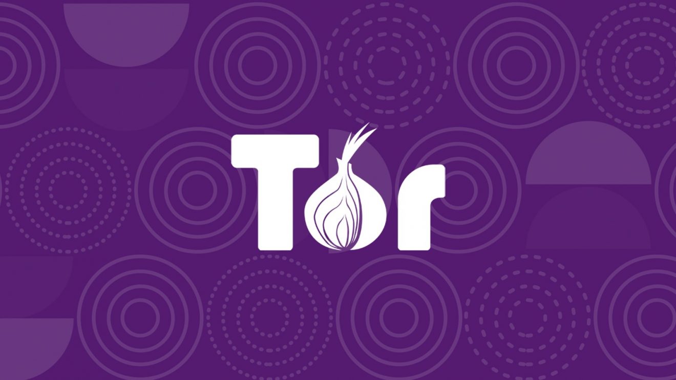 wht to do when you have the tor browser