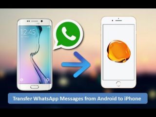 anytrans whatsapp android to iphone