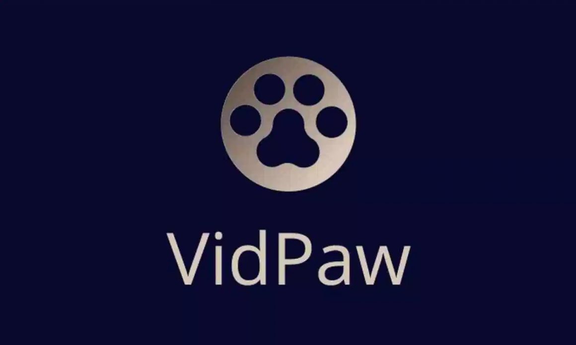 where does vidpaw download to