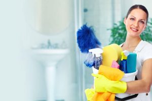 What Cleaners do Professionals Use