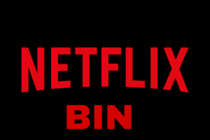How Do I Create Bin Netflix 2021?